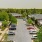 a parking lot with cars and trees